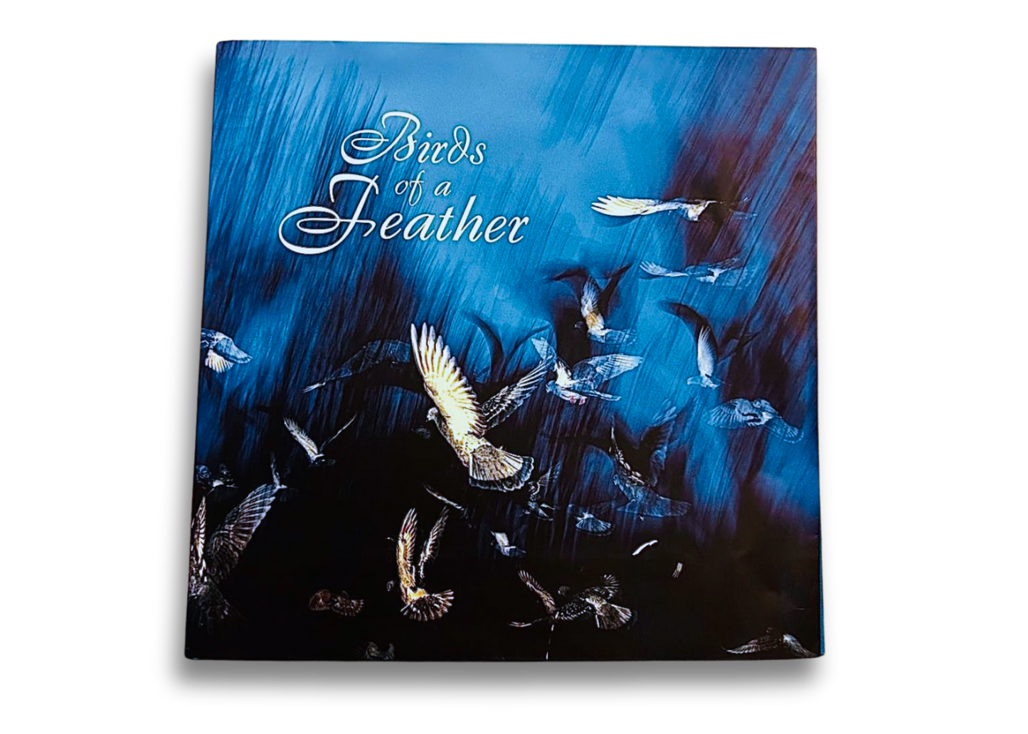 Birds of a Feather by Matthew Lam